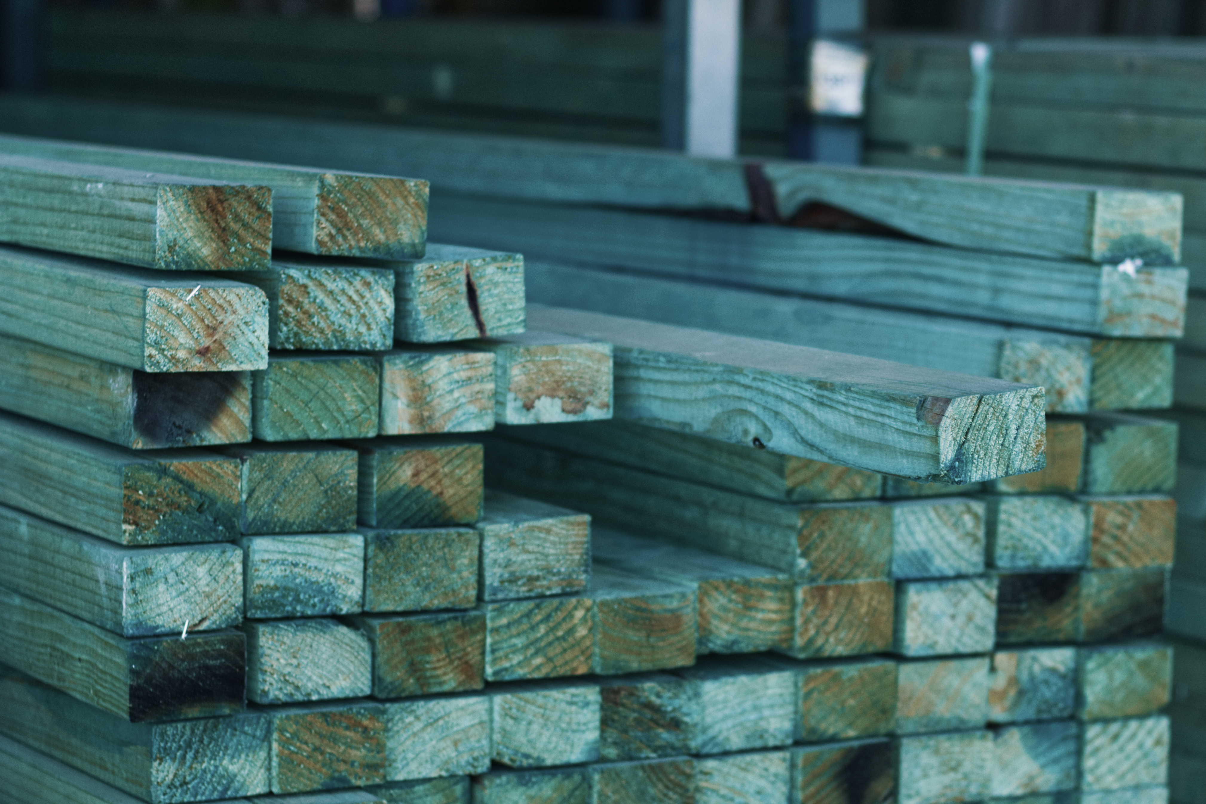 Treated Pine Framing