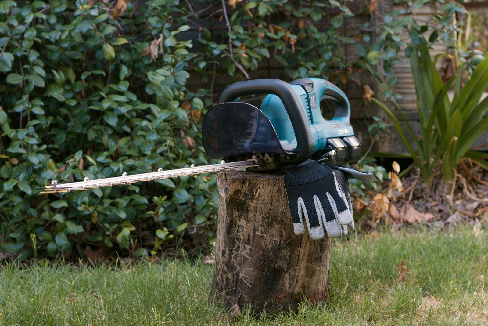 Garden Maintenance Tools