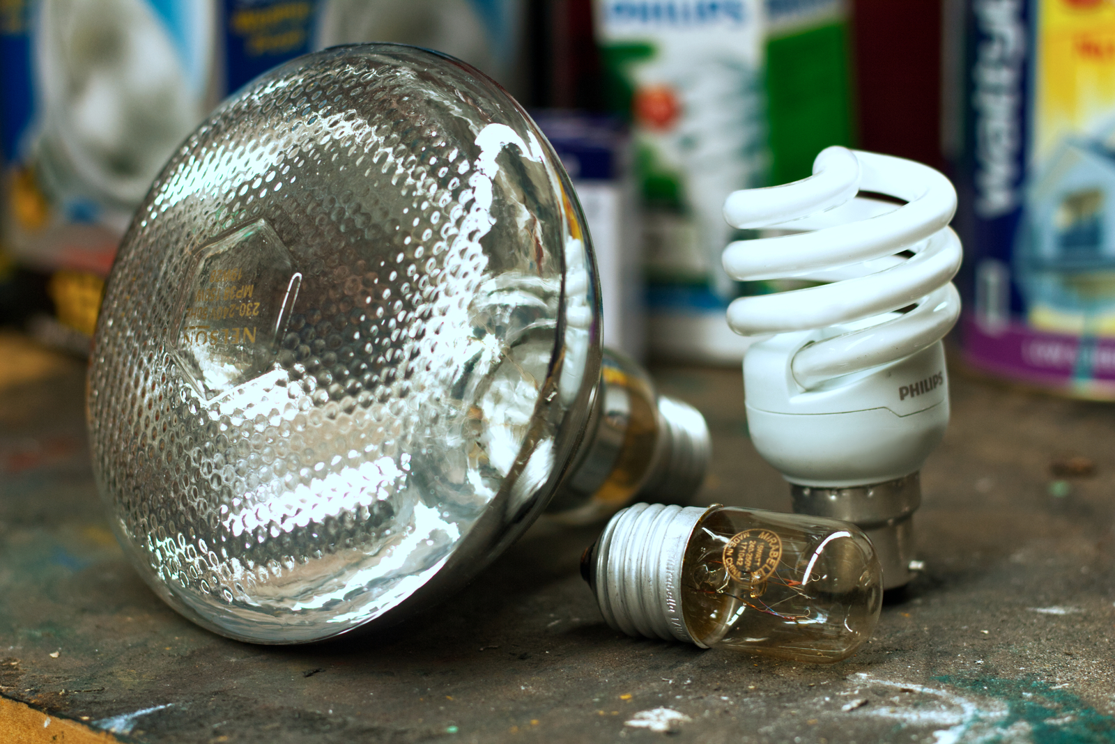 Light Bulbs & Fittings